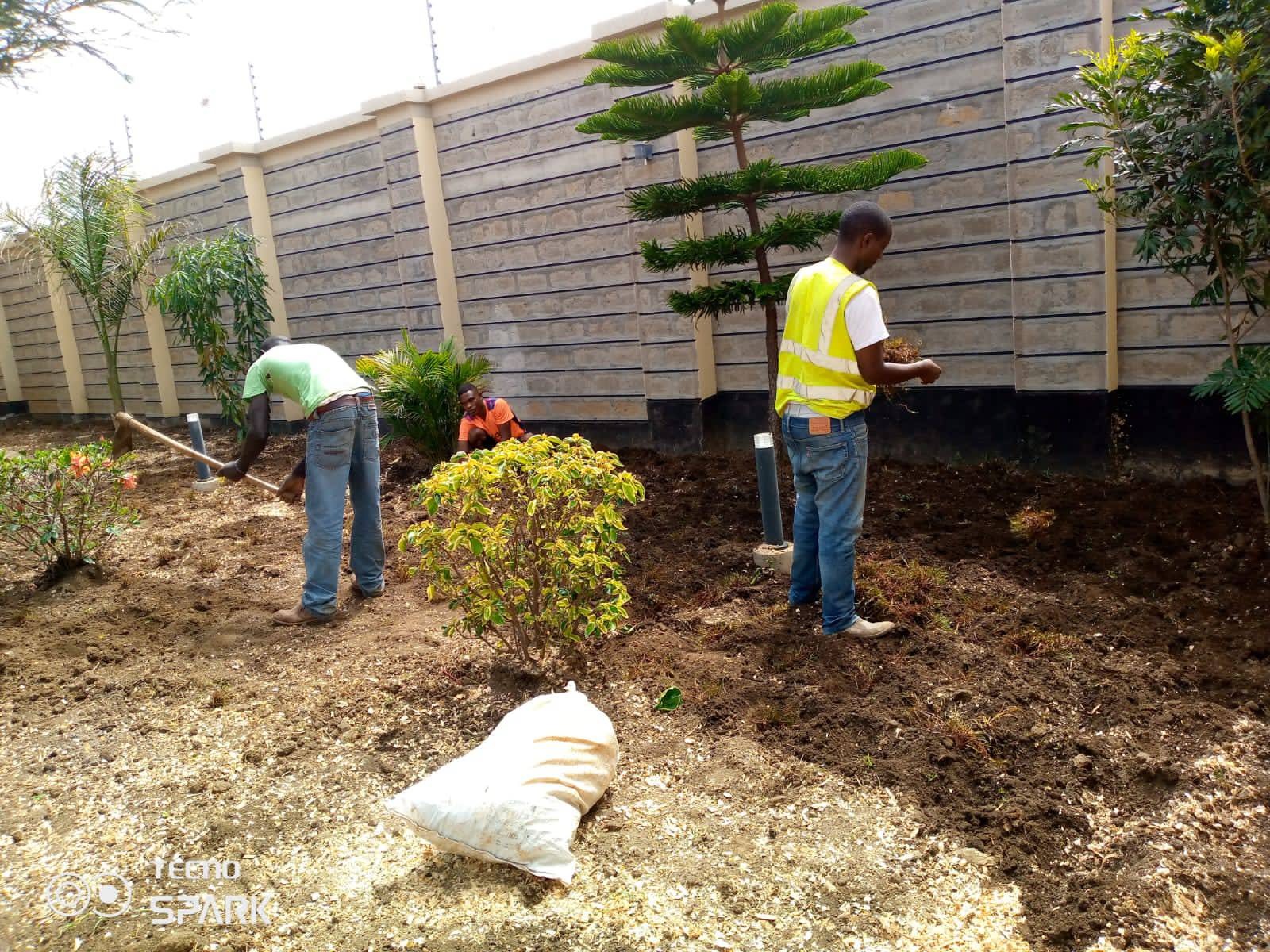 Softscaping (Planting & Gardens) | Deltah Landscapers Kenya